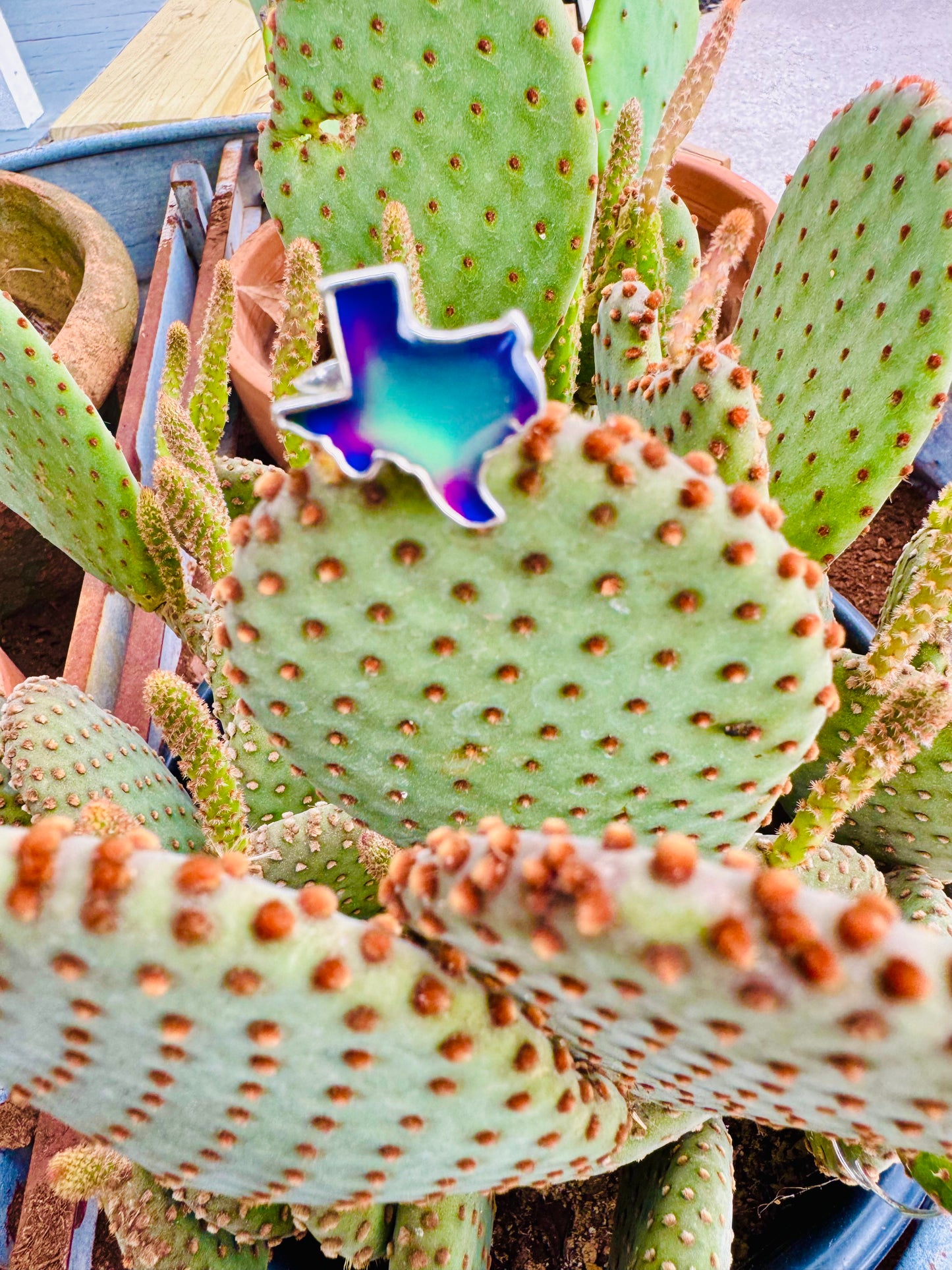 Texas Shaped Mood Ring