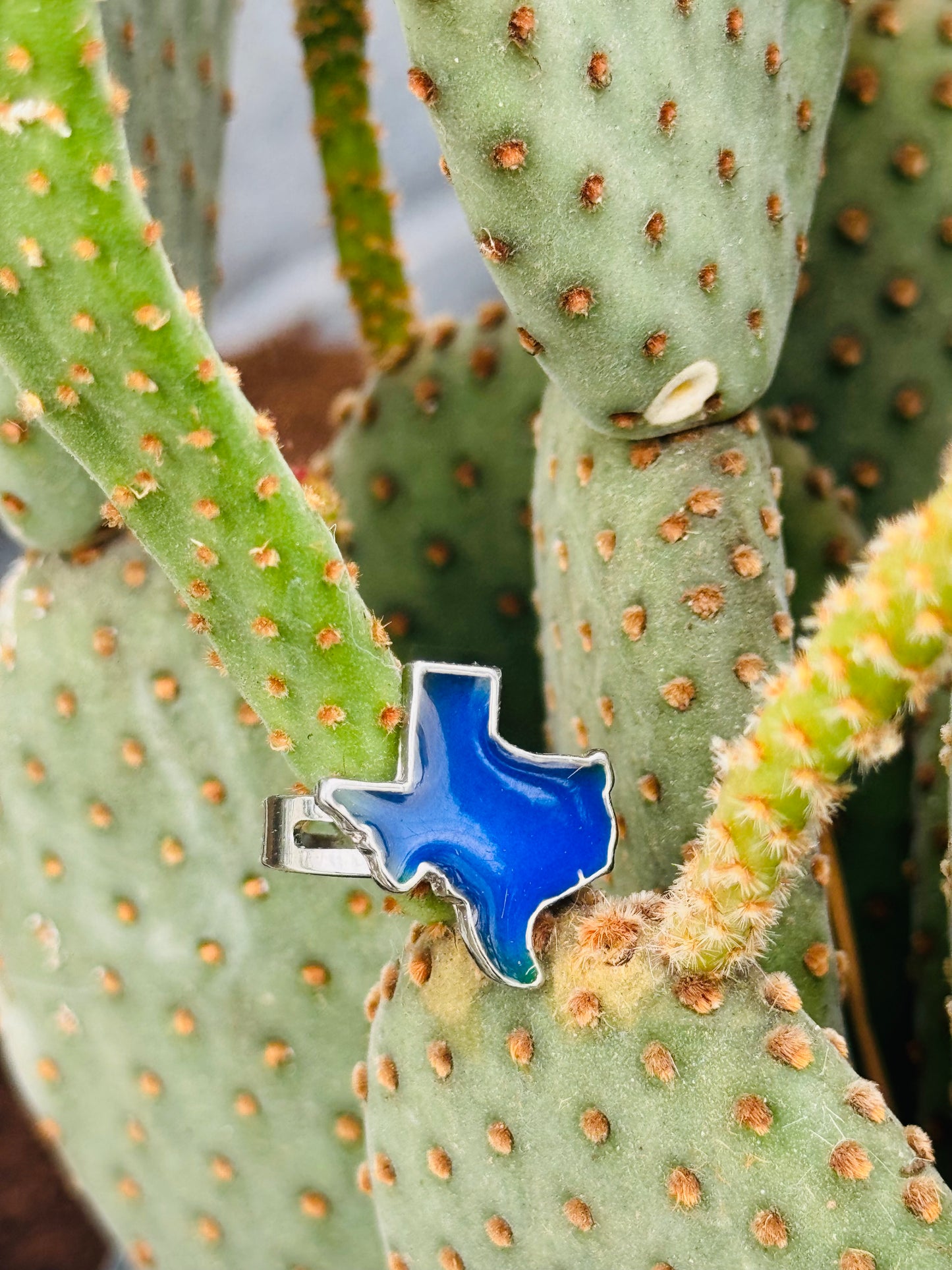 Texas Shaped Mood Ring